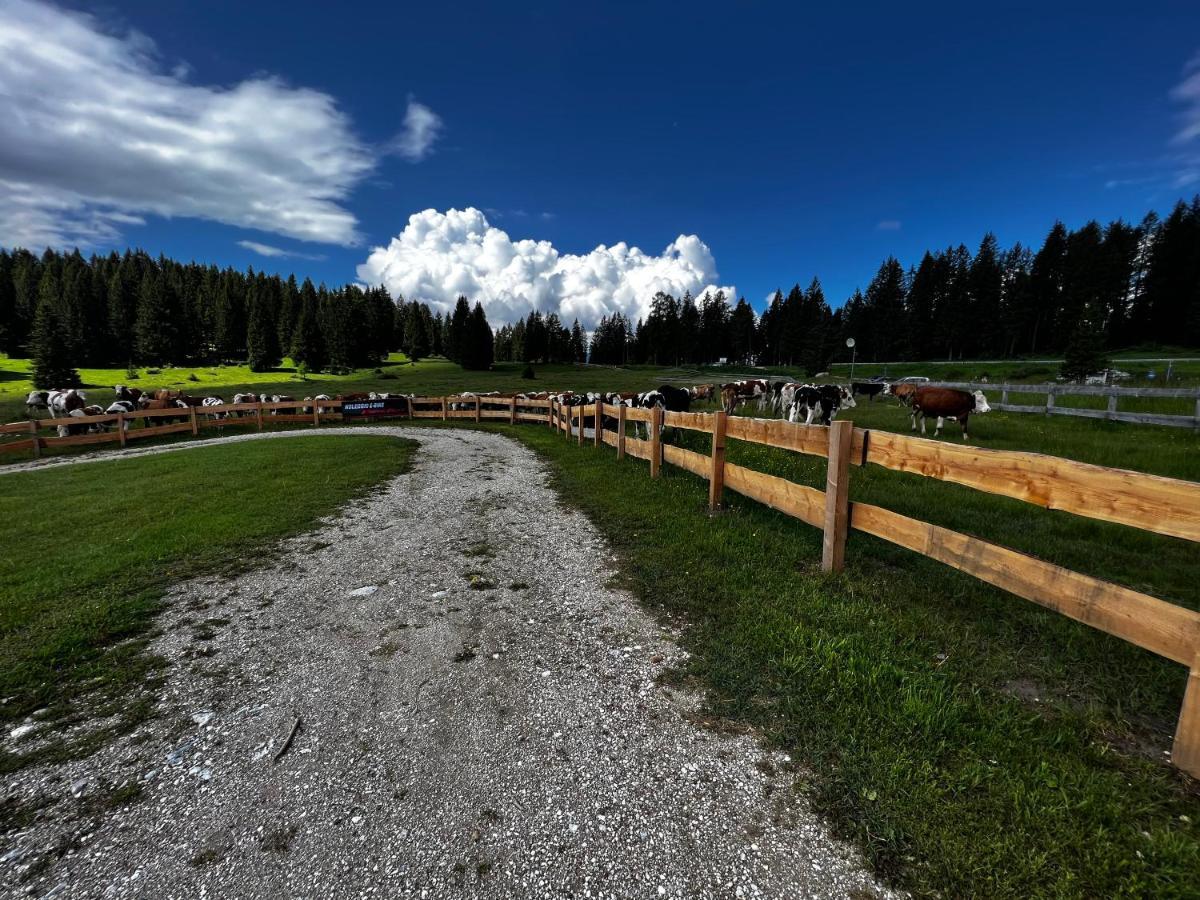 Malga Millegrobbe Nordic Resort Лавароне Екстер'єр фото